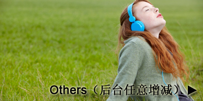 其他大类（后台任意增减）